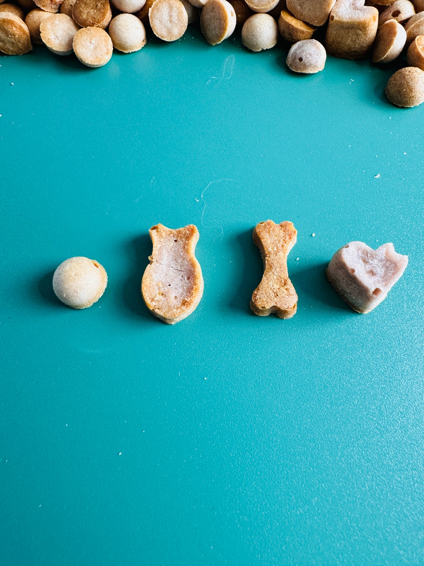 Granatapfelpralinen für Hunde