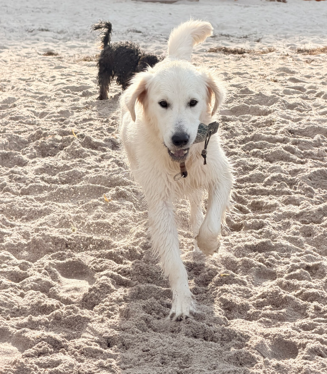 Unser Besuch an der Ostsee