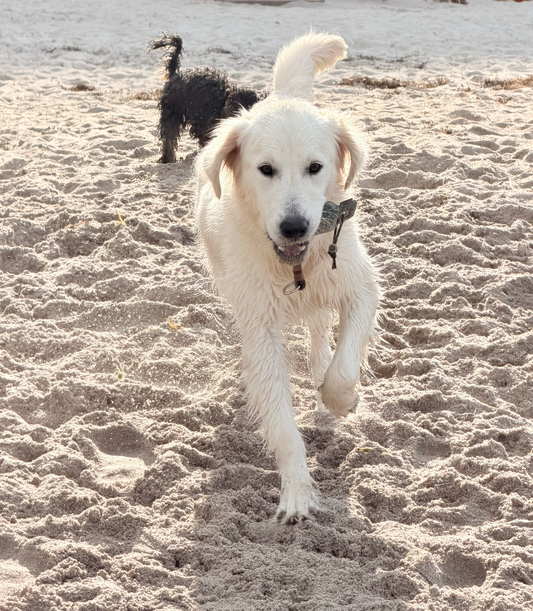 Unser Besuch an der Ostsee
