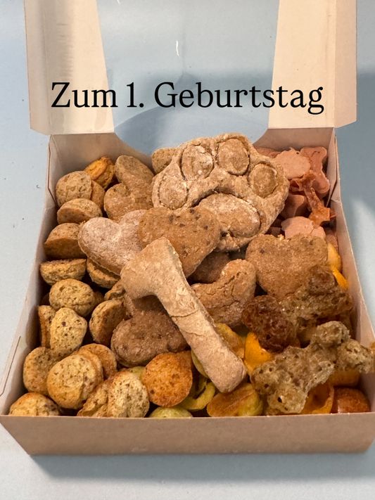 Geschenkebox zum 1. Hundegeburtstag mit verschiedenen Leckerli