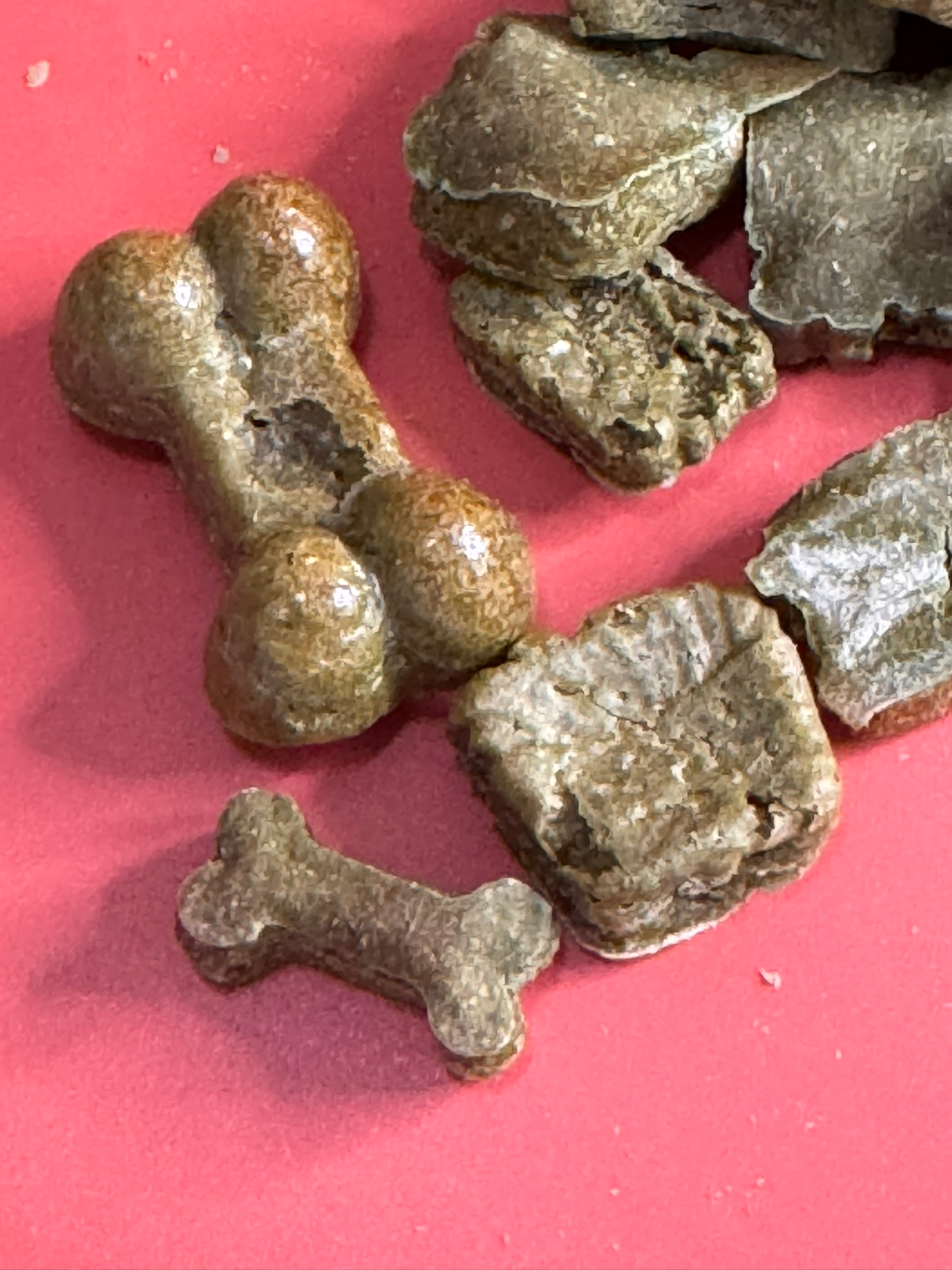 Green Power - gesunde Hundesnacks - vollgepackt mit Gemüse