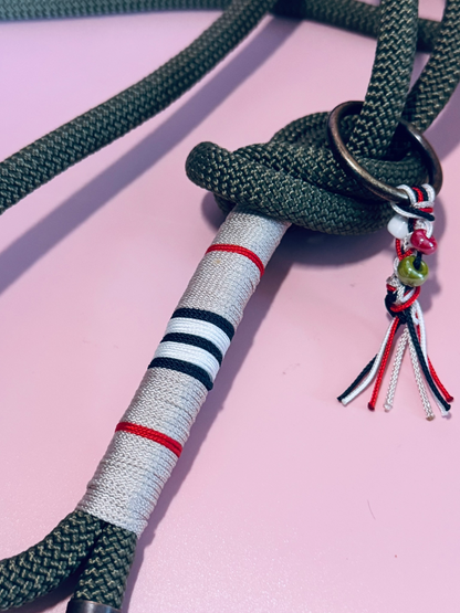 Tauleine für mittelgroße und große Hunde in oliv,  stylisches Design