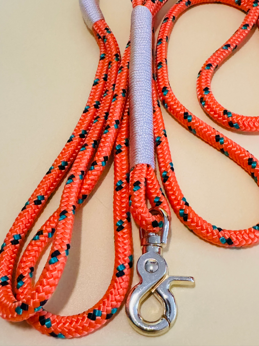 Tauleine in orange gemustert für  kleine und mittelgroße Hunde, verschiedene Längen zur Auswahl