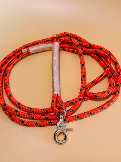 Tauleine in orange gemustert für  kleine und mittelgroße Hunde, verschiedene Längen zur Auswahl