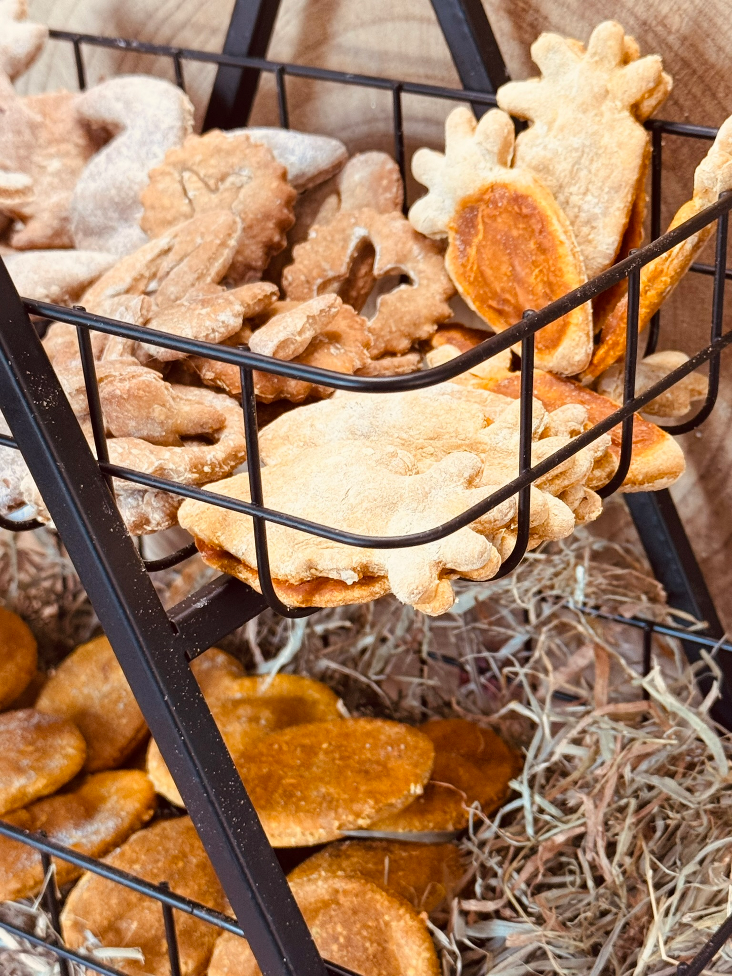 Osternest - Osterkekse für Hunde -
