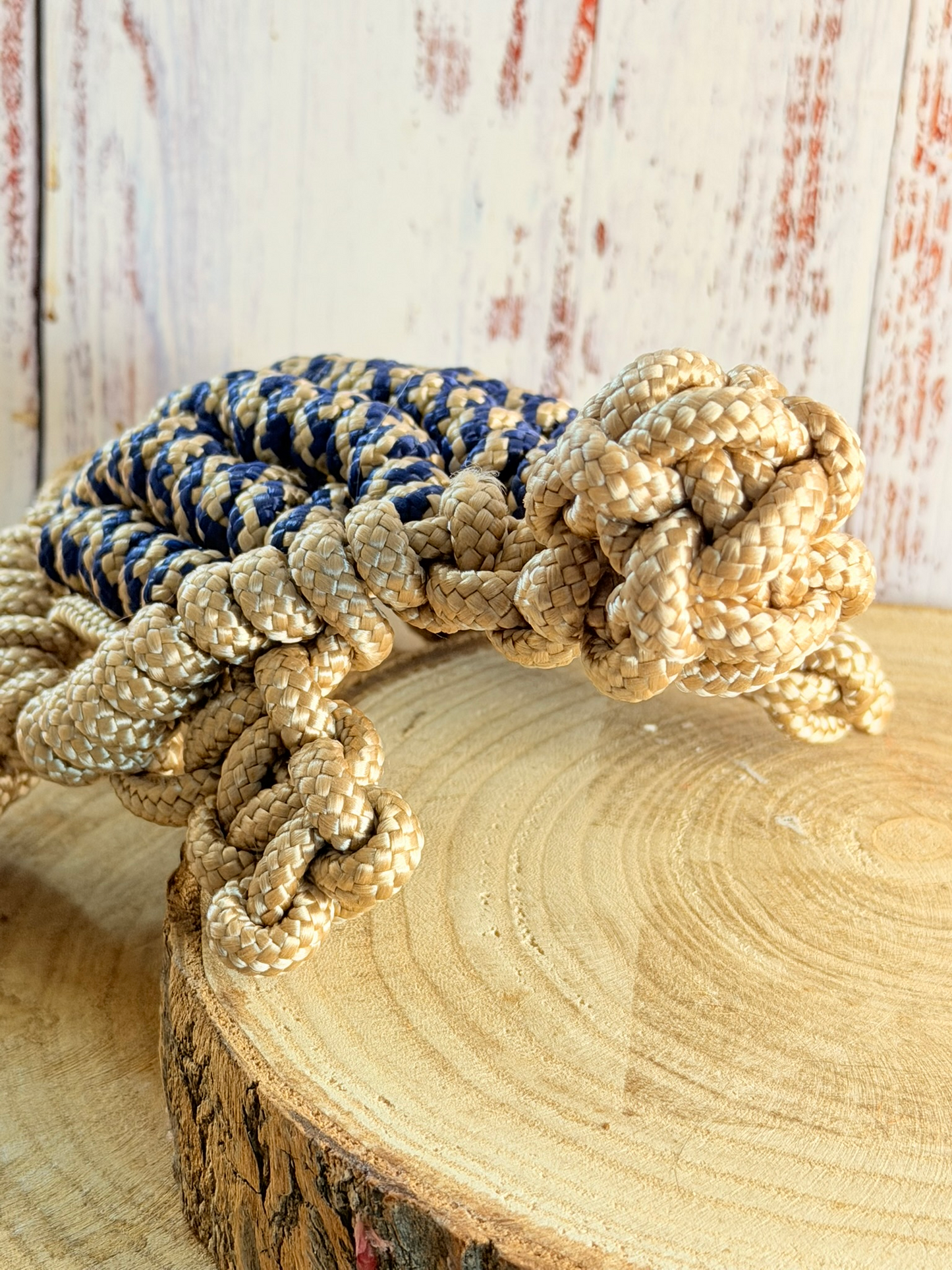 Hundespielzeug aus PPM Seil, die Schildkröte ist super als  Apportierspielzeug