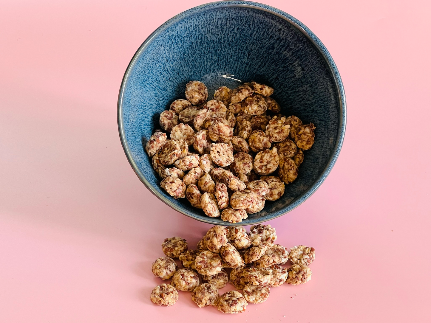 Nordic Bites  feine Skyr Hafer Bites mit Leinsamen und Zimt für Hunde