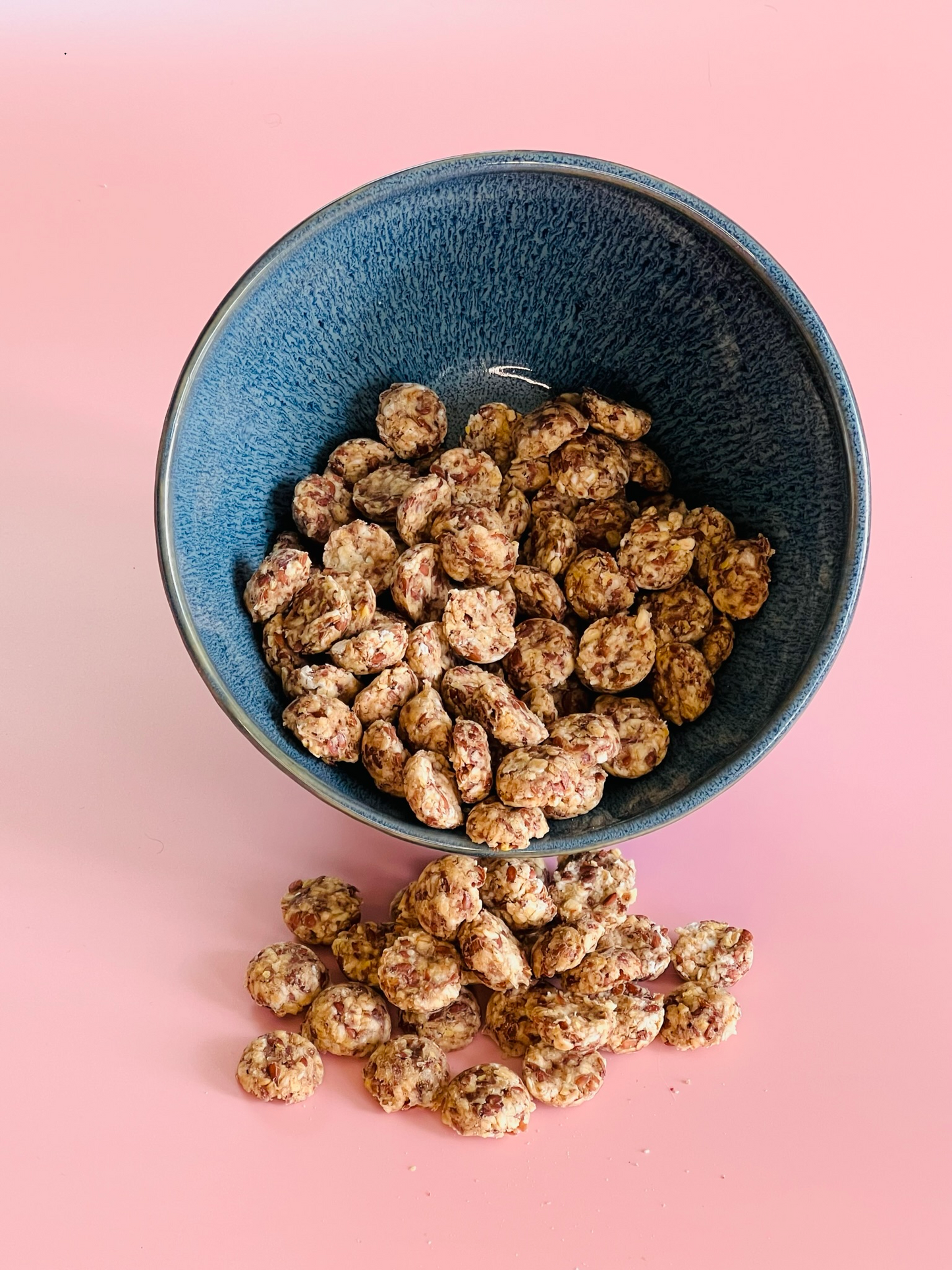 Nordic Bites  feine Skyr Hafer Bites mit Leinsamen und Zimt für Hunde
