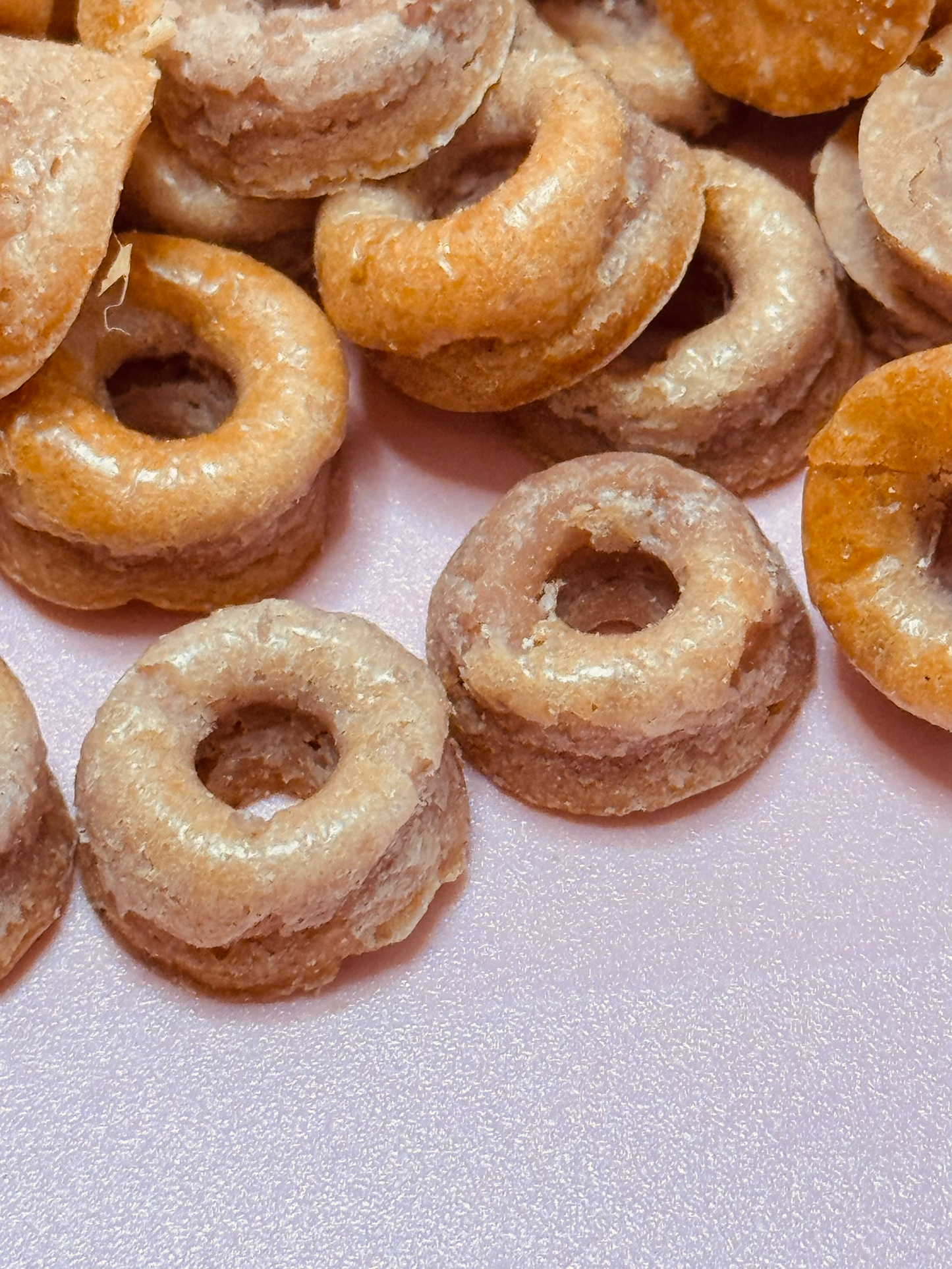 Strawbeery Cheescake Donuts fürHunde - der gesunde leckere Snack