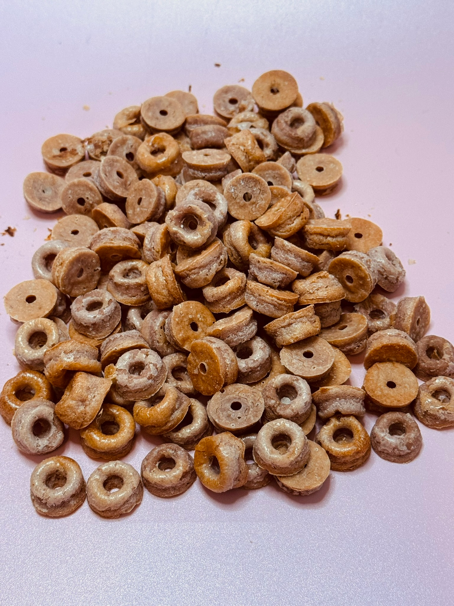 Strawbeery Cheescake Donuts fürHunde - der gesunde leckere Snack