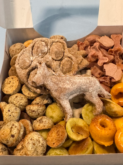 Geschenkebox für Welpen, gemischte Snackbox für Welpen und Junghunde
