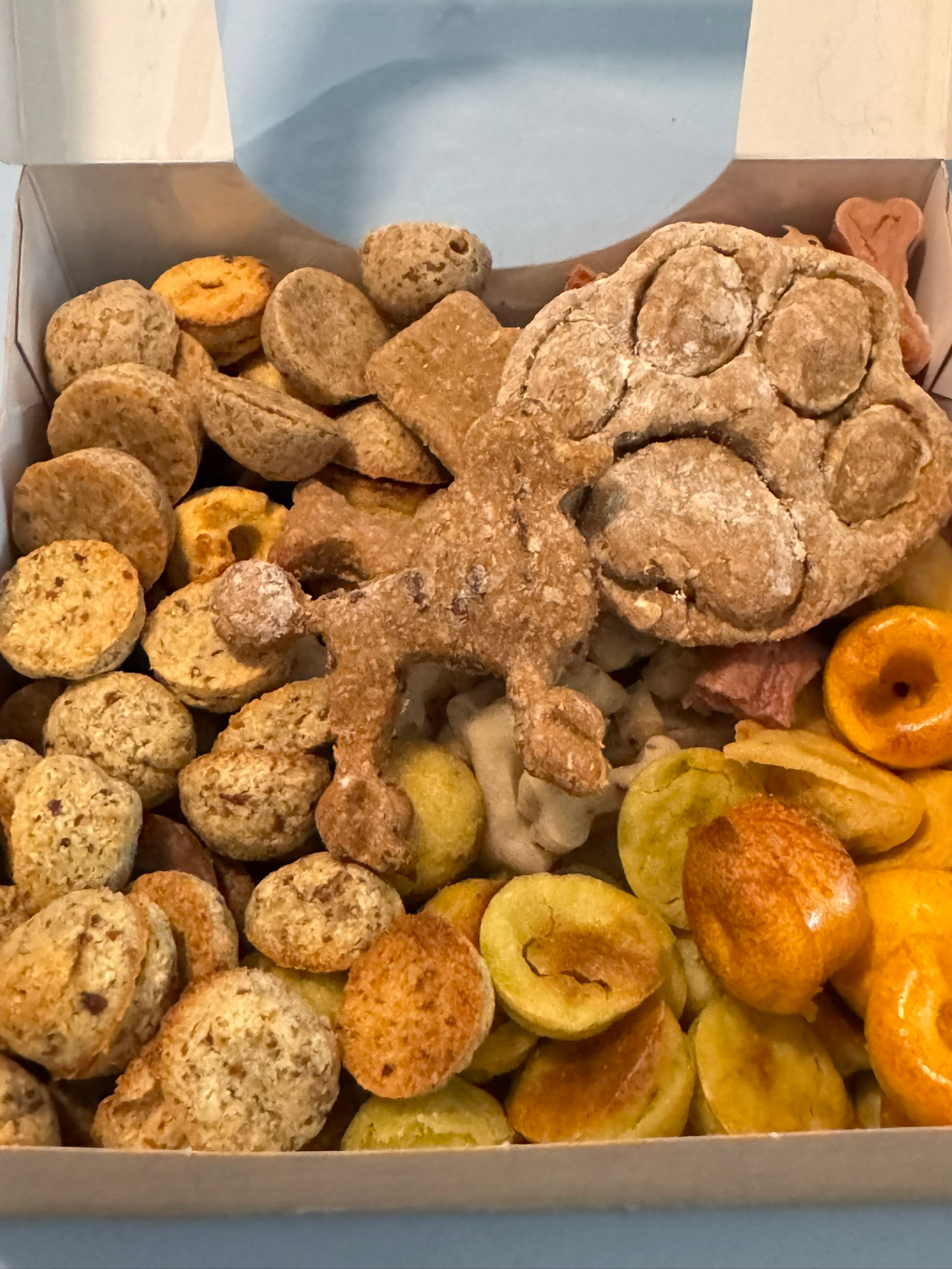 Geschenkebox für Welpen, gemischte Snackbox für Welpen und Junghunde